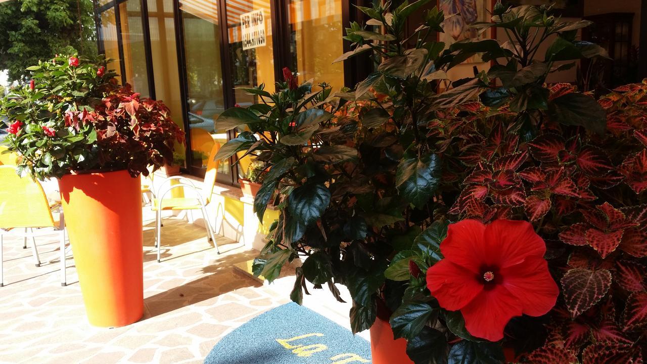 Hotel La Falena تّشيرفييا المظهر الخارجي الصورة